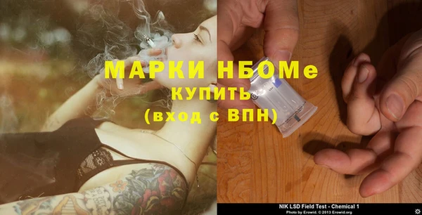 шишки Арсеньев