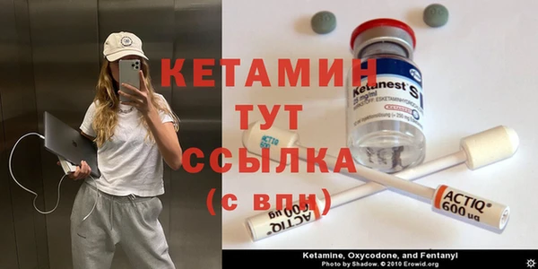 шишки Арсеньев
