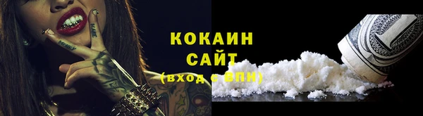шишки Арсеньев
