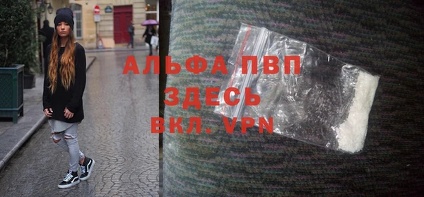 шишки Арсеньев