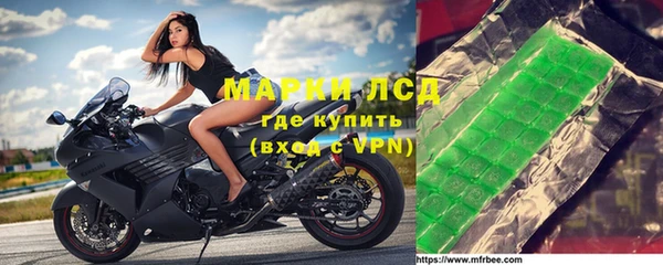 шишки Арсеньев