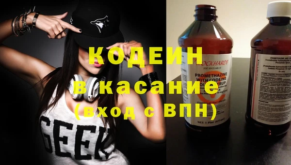 шишки Арсеньев